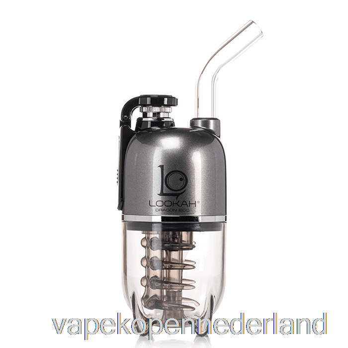 Elektronische Sigaret Vape Lookah Dragon Egg E-rig Vapor Kit Grijs